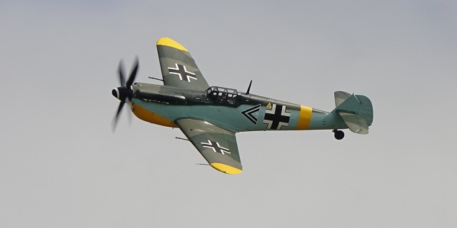 buchon.jpg