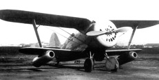 Polikarpov I-153 s přídavnými náporovými motory DM-4. Obr.: public domain erp79d46a_2b_i_153_dm4.jpg
