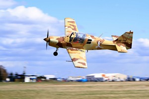 bulldogsk61_optimized_1280x853.jpg