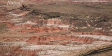 usa,_petrified_forrest,_painted_desert_web.jpg